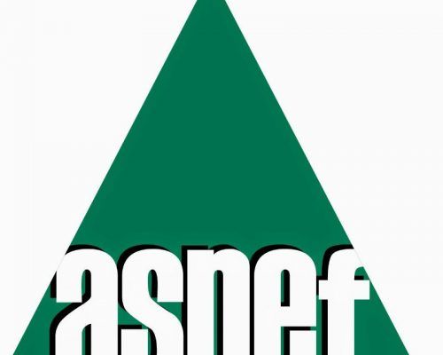 CONSULTAR ASNEF GRATIS